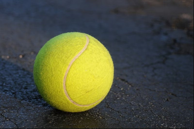 Serving Up Fun: The Joy of Being a Tennis Ball Collector!