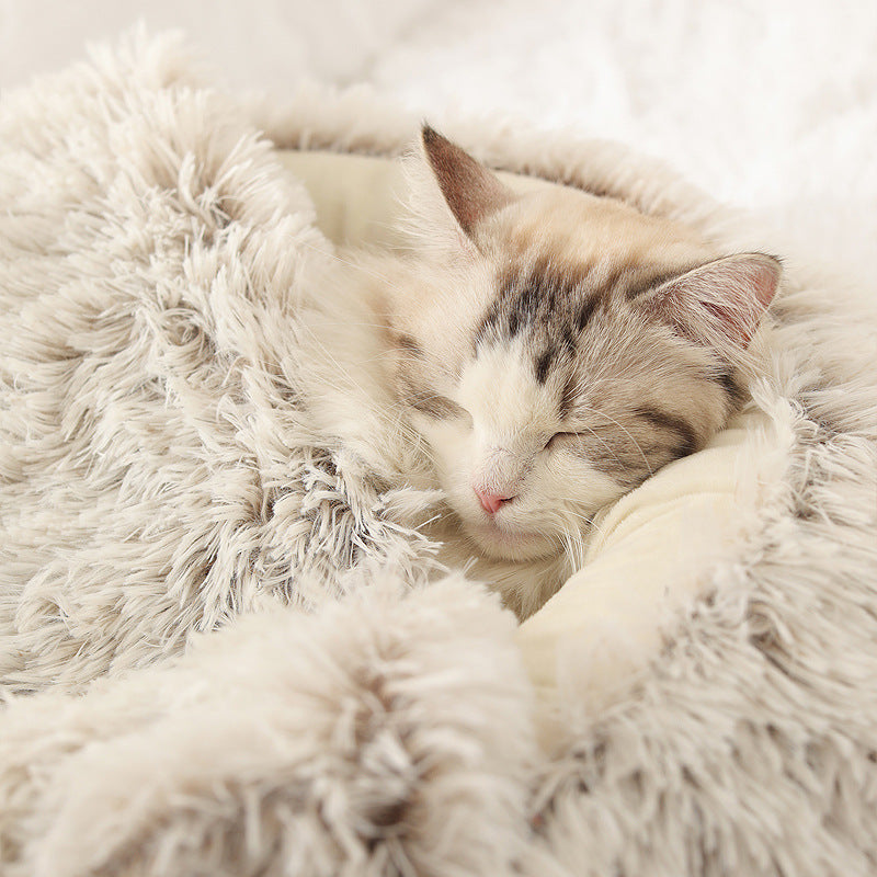 Plush Shell Nest Cat Litter: Keep Your Feline Friend Cozy in Winter