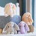 Creative Cute Lop-Eared Rabbit Plush Toy - Minihomy