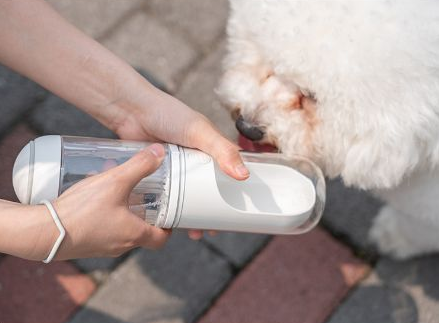 Outdoor Travel Water Bottle for Pets - Pet Travel Cup