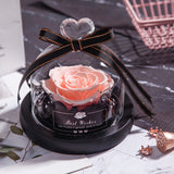 Give the Gift of Everlasting Love: Eternal Rose with LED Light - Minihomy