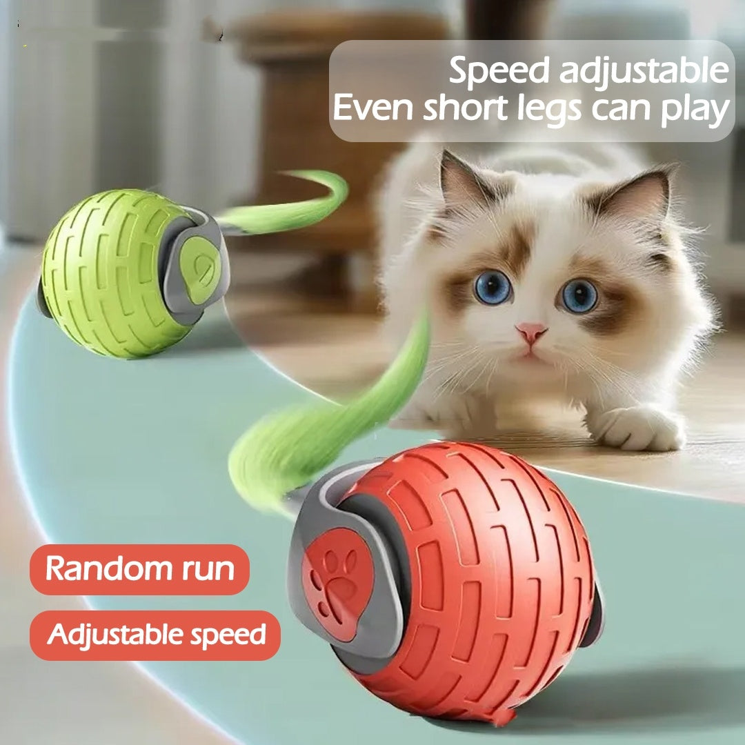 Interactive Cat Toy Ball: Auto Rolling, Rechargeable, Smart Teaser