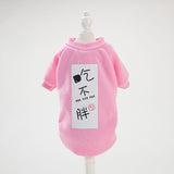 Cute funny spring autumn cat clothes