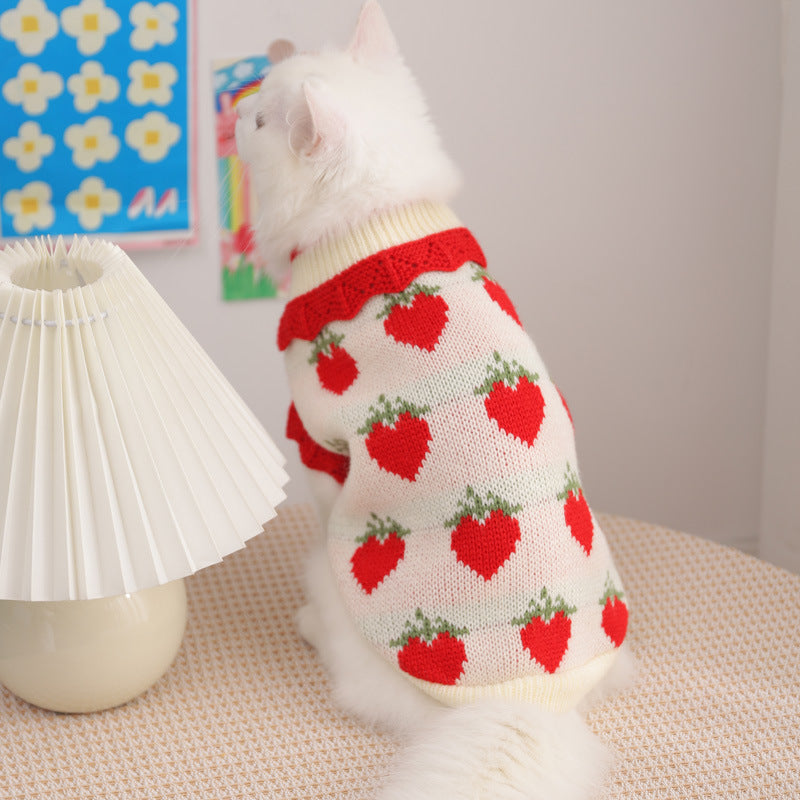 Cat Clothes For Fall Kittens To Prevent Shedding