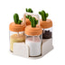 Cactus Kitchen Seasoning Jar Salt Shaker - Minihomy