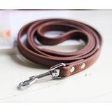 Pet Leash Collar