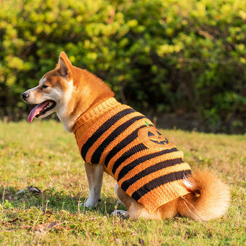 Halloween Dog Sweaters Pet Costume Teddy Warm Leisure Sweater - Minihomy