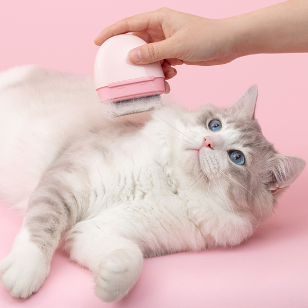 Cat Hair Comb To Remove Floating Artifact Brush For Pets - Minihomy