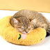 Dog Cat Sleeping Moon Pillow - Small Plush Pillow for Pets - Minihomy