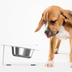 Anti-falling Cat Dog Feeding Water Bowl - Minihomy