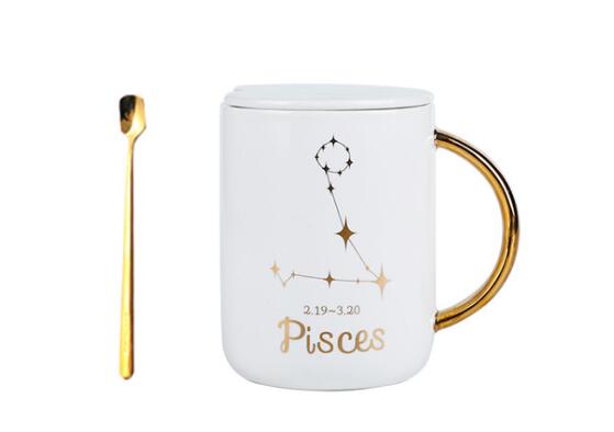 12 constellation roasted flower ceramic mug gift spoon