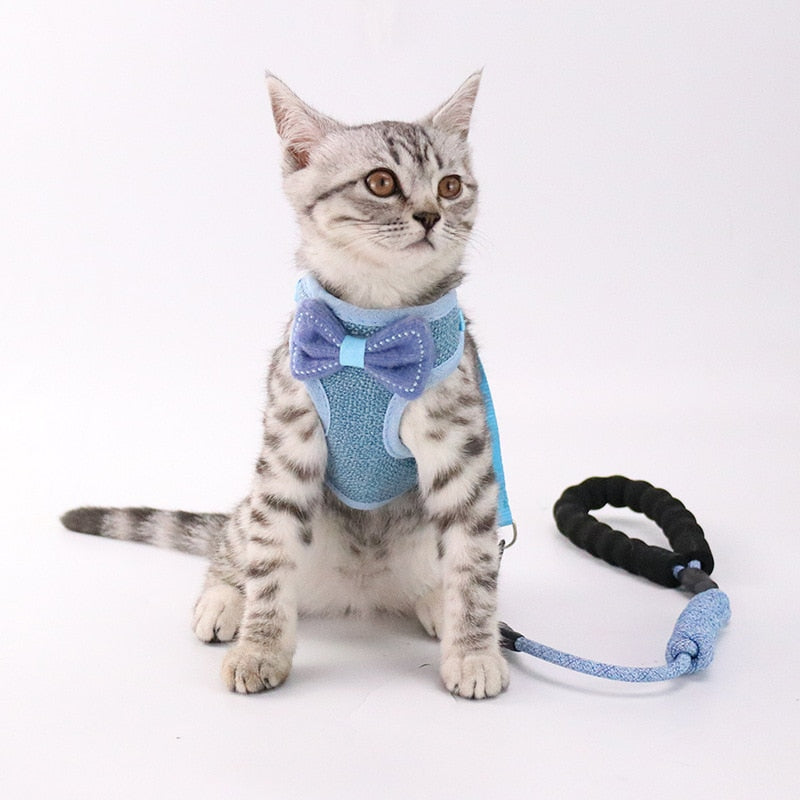 Pet chest and back leash - Minihomy