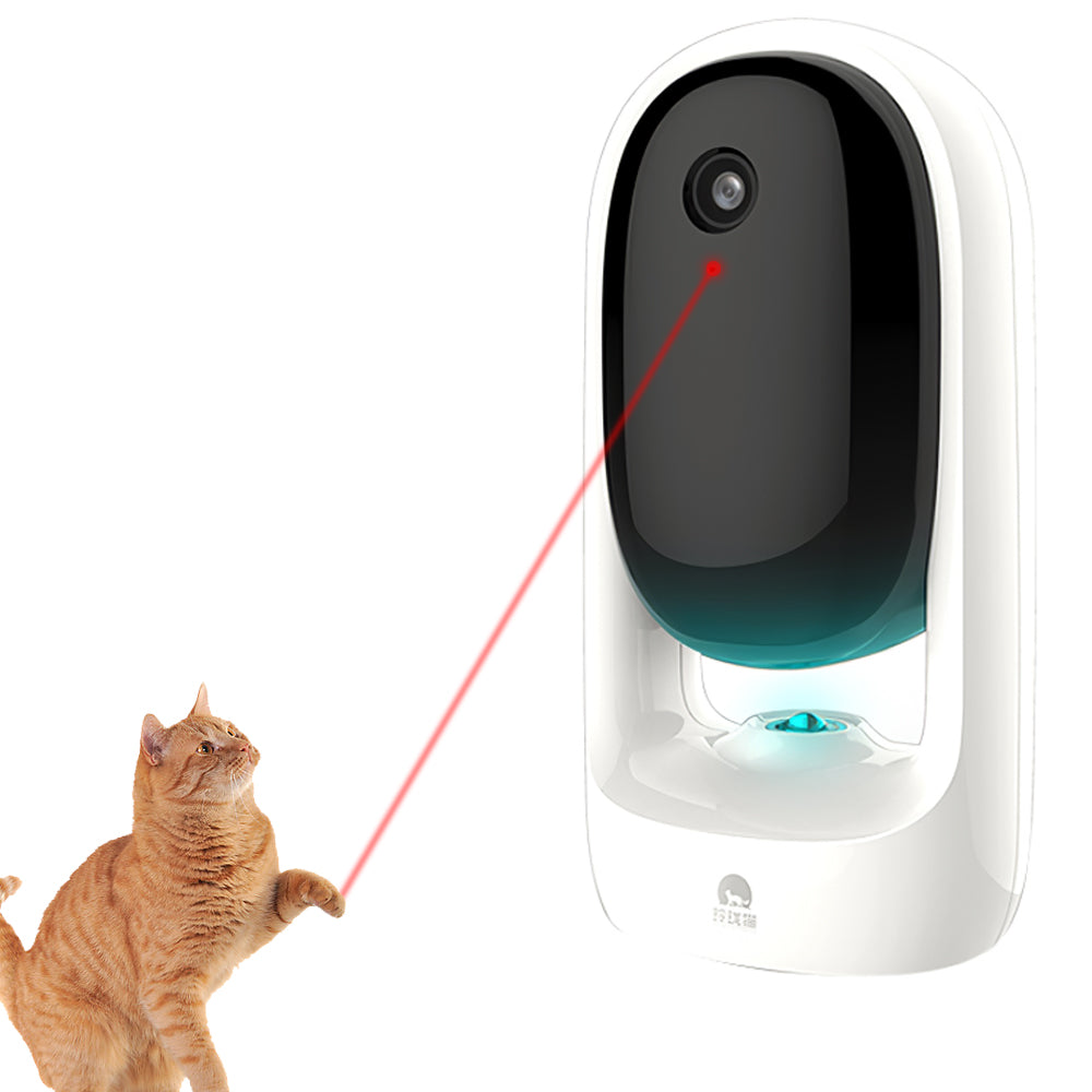 Laser Funny Cat Remote Video And Voice Self-hey