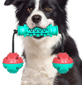 Dog Chew Toys Pet Toothbrush Rubber Bones Teeth Cleaning - Minihomy