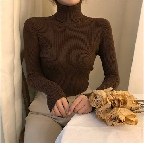 High Collar Warm Long Sleeve Sweater Women