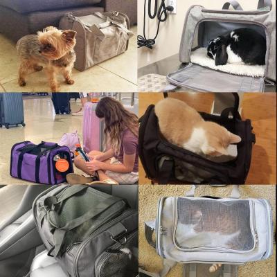 Portable Cat And Dog Pet Bag - Minihomy