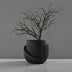 Vase Decoration Indoor Pottery Pot Flower Eare