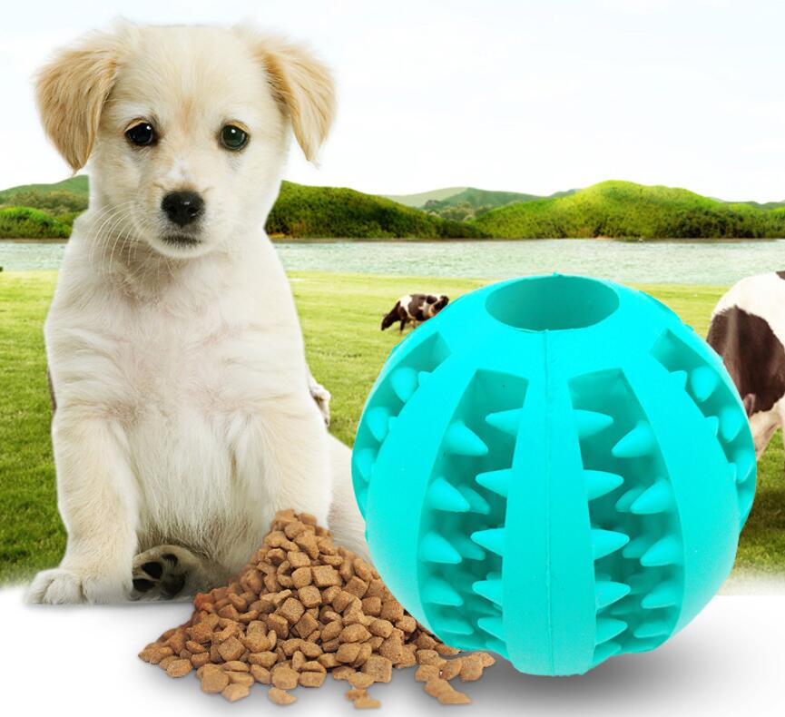 Pet Slow Feeder Dog Toy Cute Funny Rubber Dog Ball Toy - Minihomy