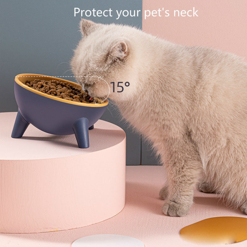 Cat Dog Bowl With Stand Pet Feeding Food Bowls Dogs Bunny Rabbit Nordic Color Feeder Product Supplies Pet Accessories - Minihomy