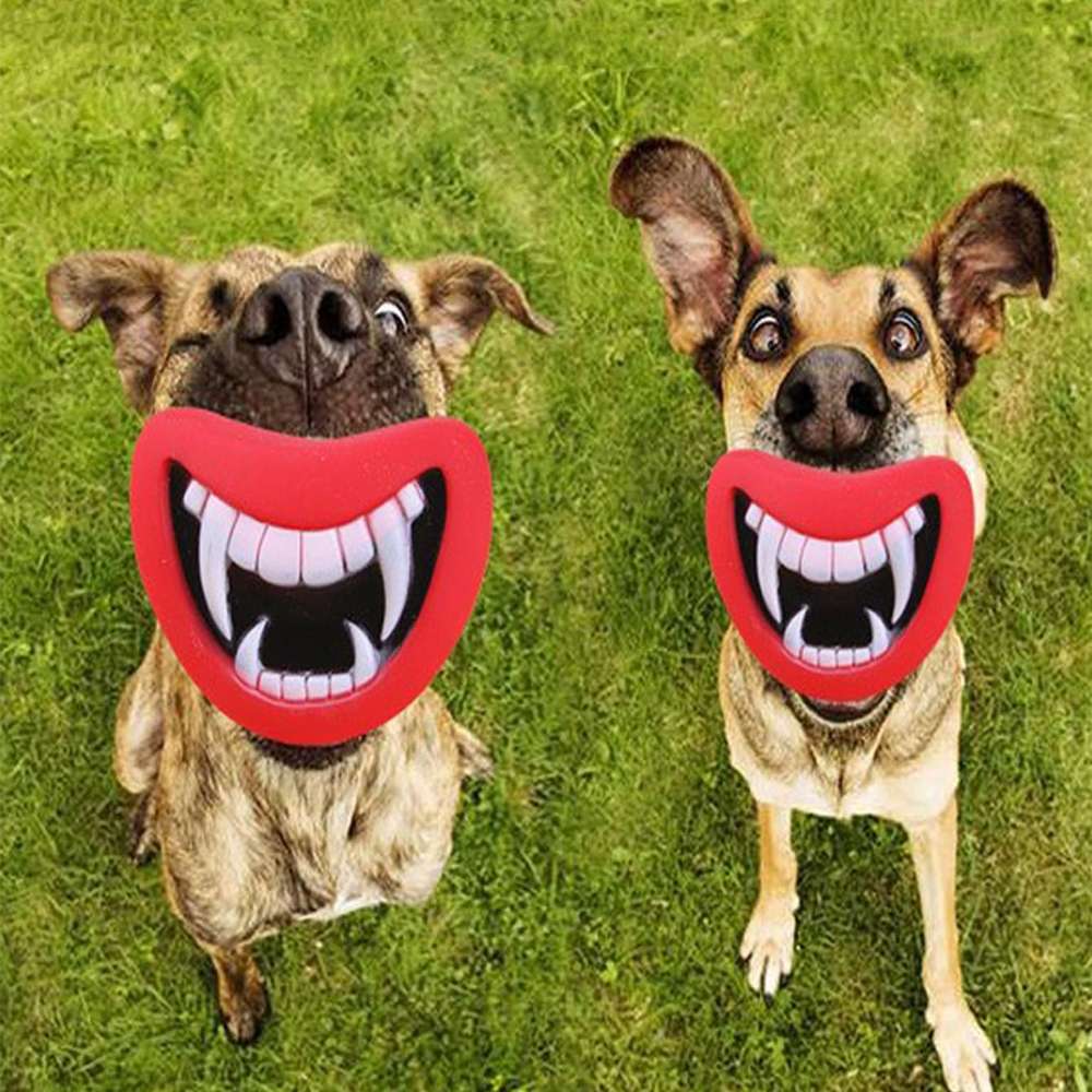 Dog Enamel Sounding Toy Pet Pacifier Molar Toy Dog Beak Sound Toy Pet Festival Funny Toy - Minihomy