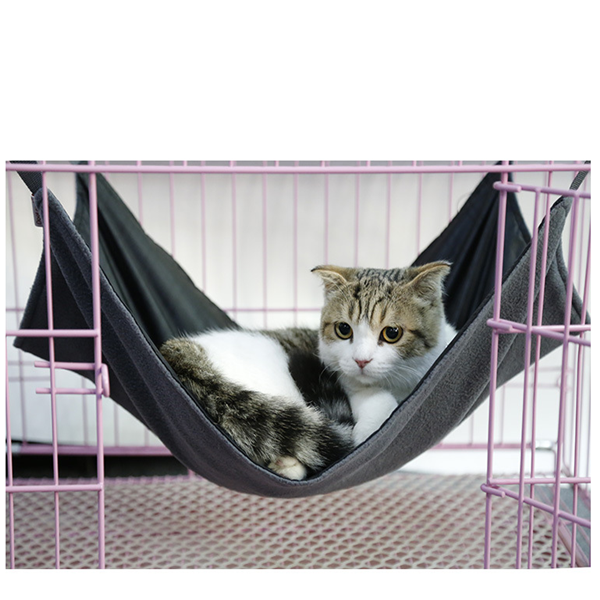 Cat Hammock Cat Bed Lounger Sofa Cushion - Detachable Hanging Chair