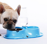 Stainless Automatic drinking bowl