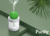 Luminous Cactus Ball Humidifier - Minihomy