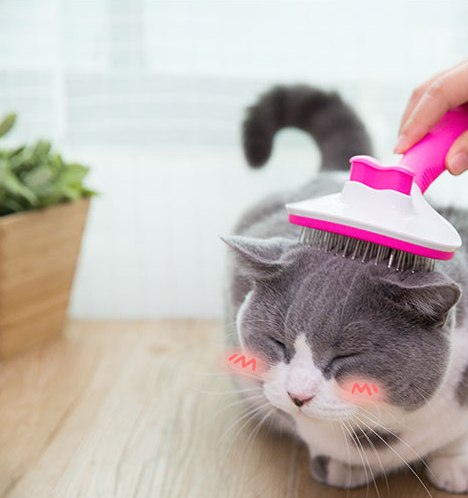 Cat comb long hair hair removal comb - Minihomy