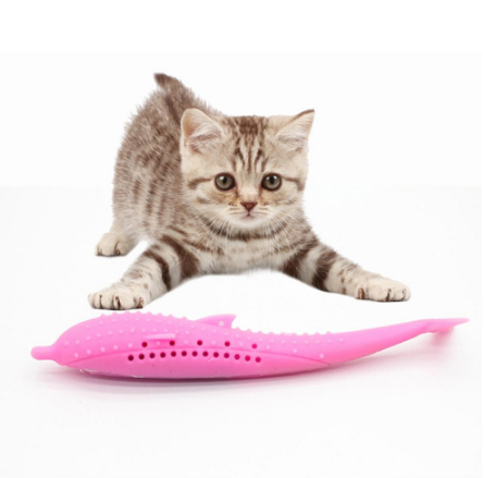 Cat Toothbrush Toy