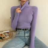 High Collar Warm Long Sleeve Sweater Women