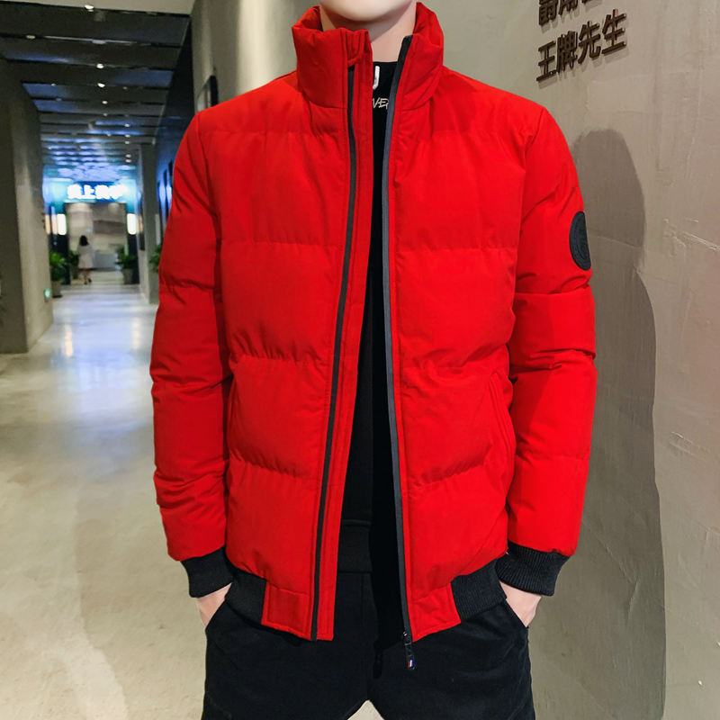 Men's cotton winter jacket - Minihomy