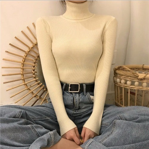 High Collar Warm Long Sleeve Sweater Women