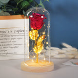 Valentine Day Gift Mother Day Gift Rose Flower