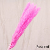 Reed dried flower home decoration