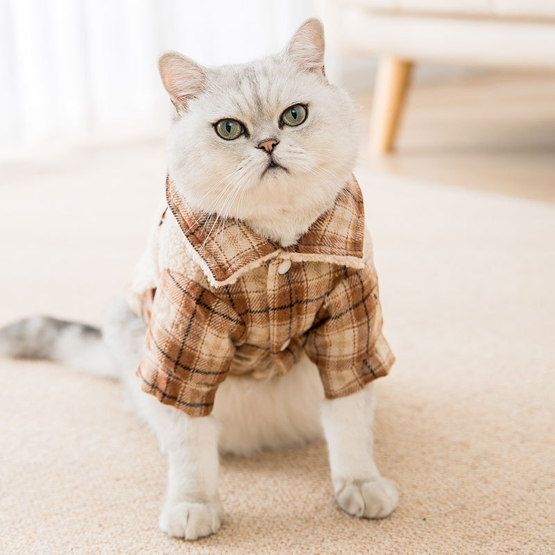 Warm lamb wool pet clothes