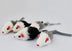 Cat toy cat fake mouse toy tiantian cat rabbit skin mouse (5 packs) funny cat toy - Minihomy