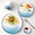 Disc tableware western food plate