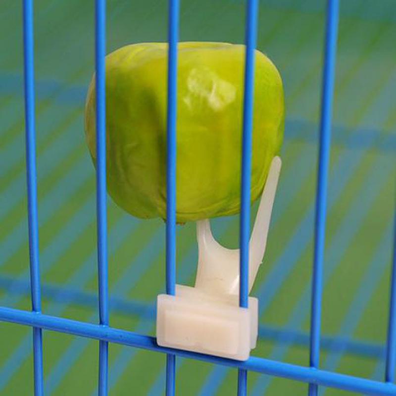 Fork Parrot Pet Bird Plastic Food Holder Feeding on Cage for Hamster Rat - Minihomy