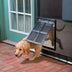 Pet Screen Door Anti-mosquito Free Access - Minihomy