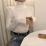 High Collar Warm Long Sleeve Sweater Women