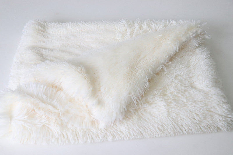 Plush mat double pet blanket