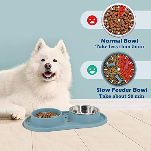 5-in-1 Dog Food Bowl With A Free Portable Dog Bow - Minihomy