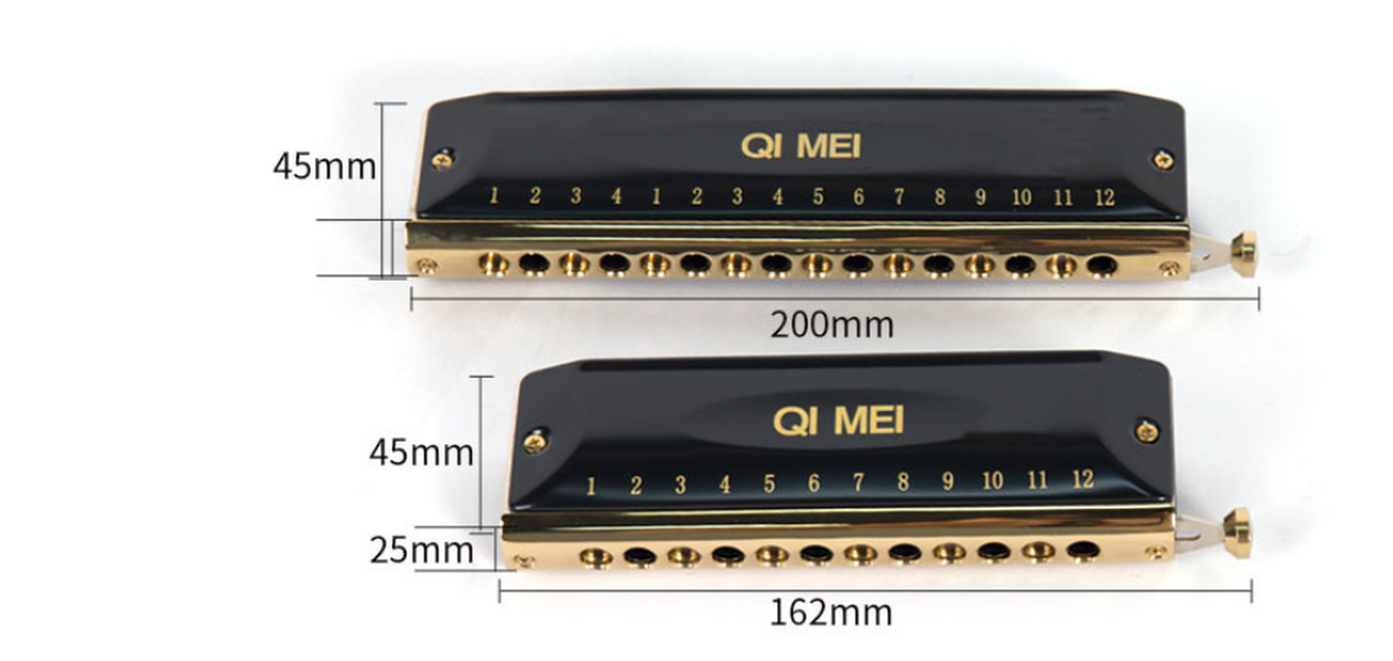 Advanced Chromatic Harmonica - Minihomy