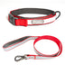 Dog Collar Pet Products Reflective Full Neck Traction Set - Minihomy