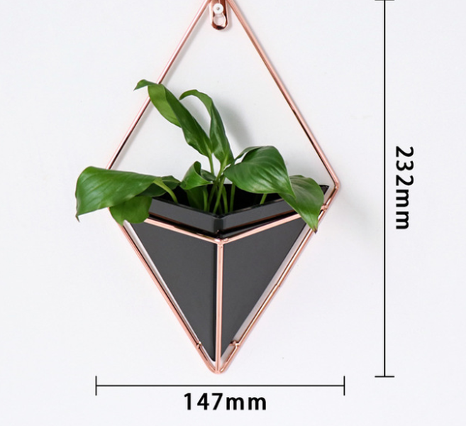 Creative home three-dimensional wall decoration flower pot - Minihomy