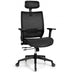 Adjustable Mesh Computer Chair with Sliding Seat and Lumbar Support-Black - Color: Black - Minihomy