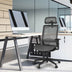 Height Adjustable Ergonomic High Back Mesh Office Chair with Hange-Gray - Color: Gray - Minihomy