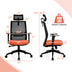 Ergonomic Office Chair with Lumbar Support and Adjustable Headrest-Black - Color: Black - Minihomy