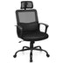 Mesh Office Chair High Back Ergonomic Swivel Chair - Color: Black - Minihomy