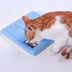 Pet Slow Food Bowl  Treasure Hunt Training Toys Resistant To Bite - Minihomy